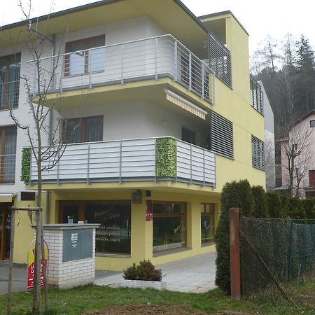 Apartman Anezka Luhacovice Exterior photo