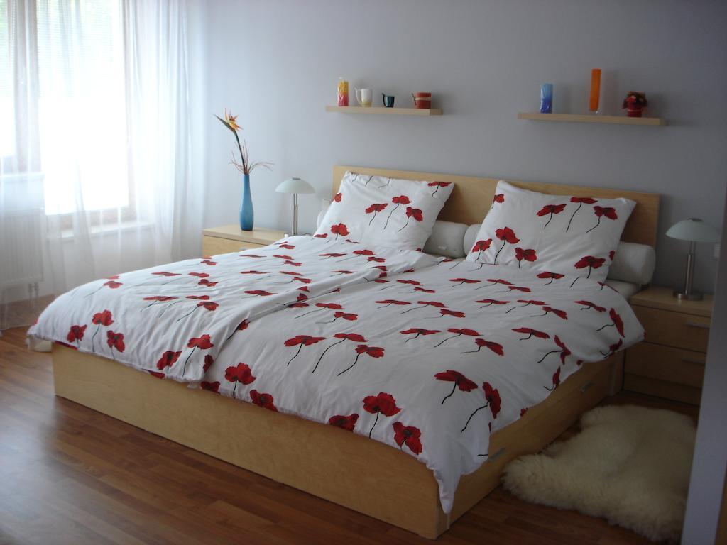 Apartman Anezka Luhacovice Exterior photo